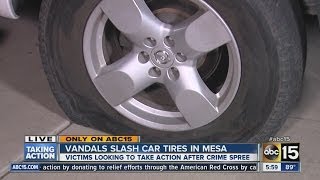 Car tires slashed in Mesa neighborhood, police asking for public's help
