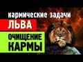 Знак зодиака ЛЕВ: КАРМИЧЕСКИЕ задачи и очищение КАРМЫ