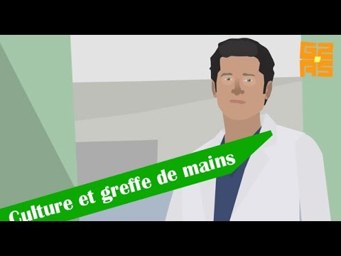 Culture et greffe de mains au Gilles de Asperger Show