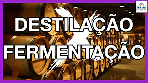 Como o açúcar vira álcool?