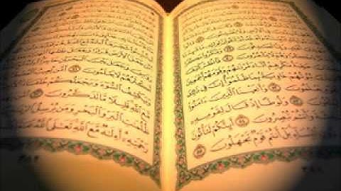 048 سوره الفتح . صلاح البدير