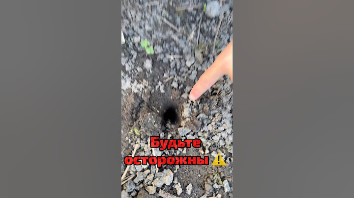 Никогда не смотри в эту дыру