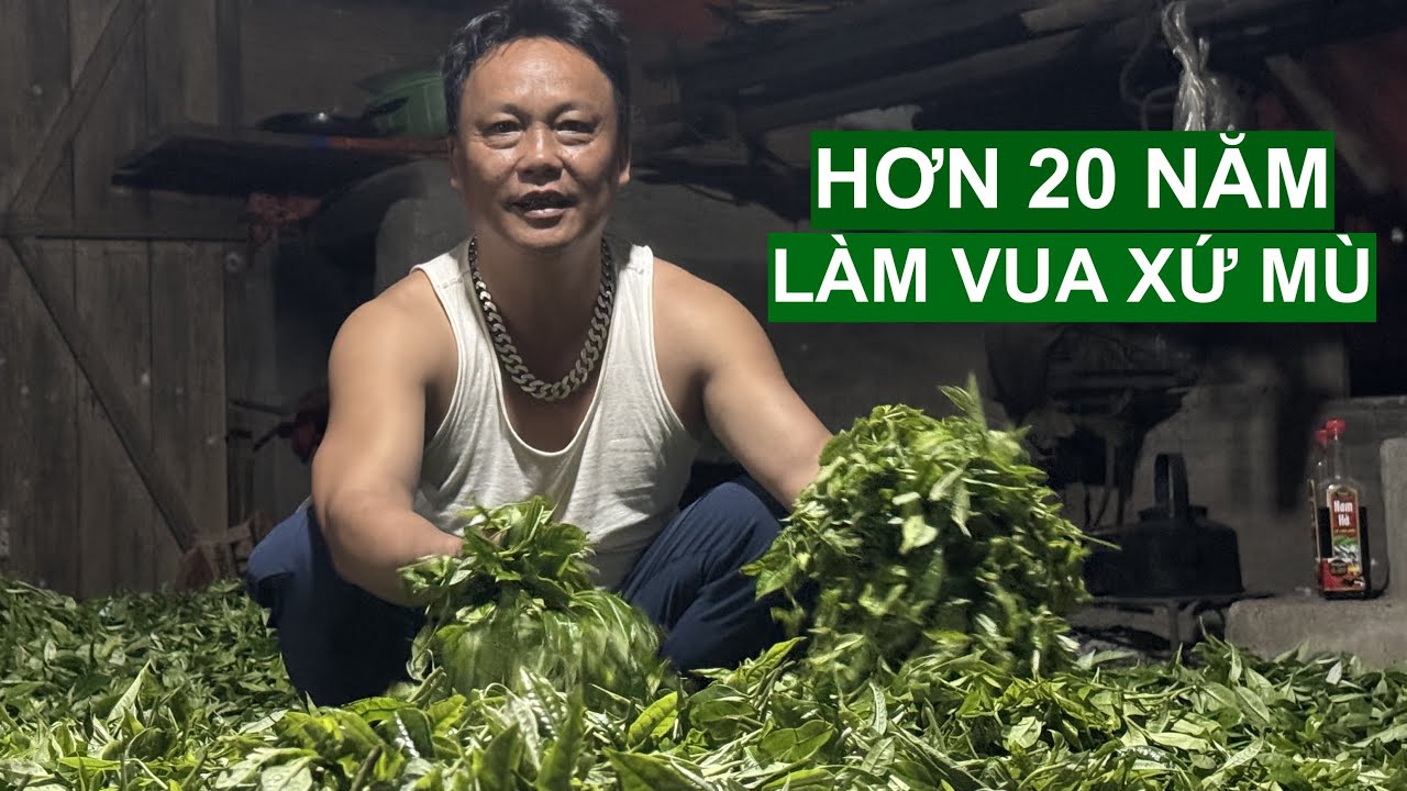 Bỏ Phố Lên Rừng - Hơn 20 Năm Làm Vua Xứ Mù | Người Đặc Biệt