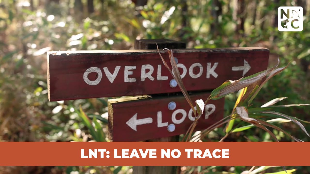 Adesivo Leave No Trace – ‘Amo La Natura’ | Decalcomania Per Auto, Borraccia, PC | LNT Original