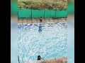 Aariz syed swimming 