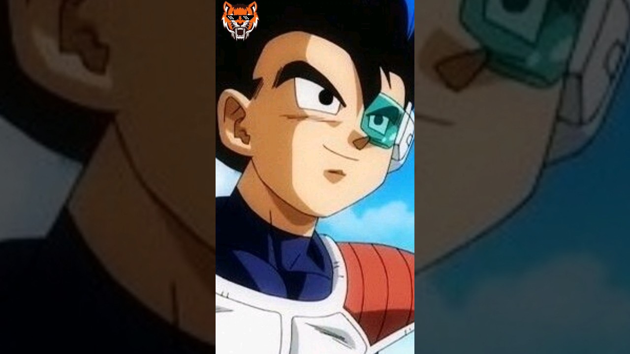 Todos os Sayajins que sobreviveram a explosão do Planeta Vegeta em Dragon  Ball Z - Versus