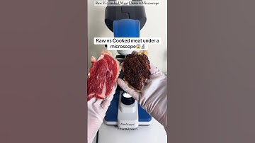 Raw Vs Cooked Meat Under a Microscope || #shorts #youtubeshorts #microscope #viral