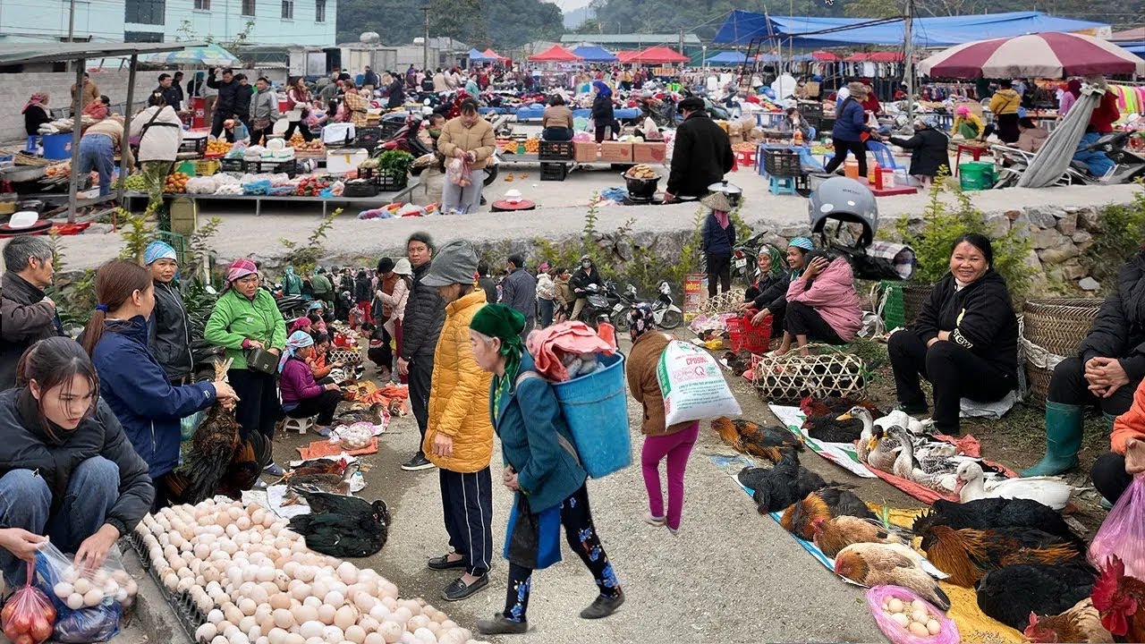 Không khí tết đã về trên bản làng của người H'Mông tại Quản Bạ - Hà Giang | Chợ Phiên Thanh Vân
