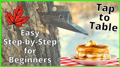 How to make Maple Syrup - EASIEST & QUICKEST WAY to turn maple sap into syrup | DIY | Homesteading