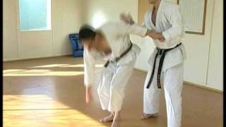 Andre Bertel  Karate Master