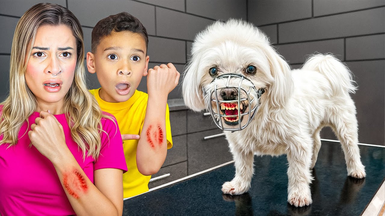 MEU CACHORRO NÃO PARA DE MORDER AS PESSOAS! SOCORRO!