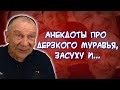 Анекдоты про схватку муравья с медведем🐜🐻, отделение пси***трии, новогодний сюрприз🎅 и...