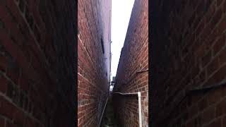 Back Alley in Talladega Alabama
