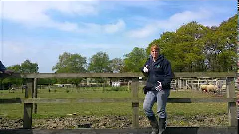 Staffordshire Management Solutions Testimonial - P...