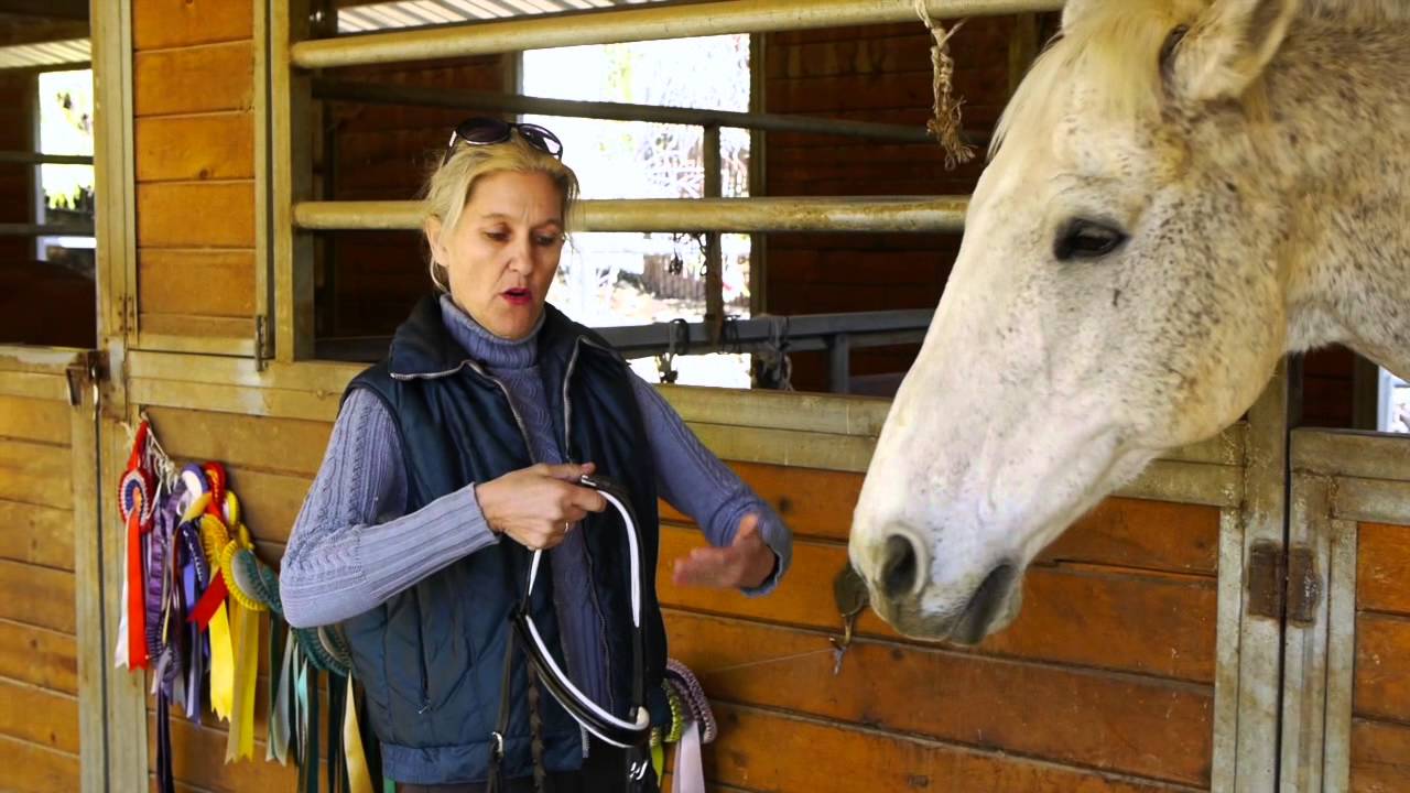 The Listenology Guide To Bitless Bridles For Horses - How To