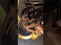 A Sculpture That Transforms with Light!| Shadow Art | #shadowart #shadowartist #lightandshadow