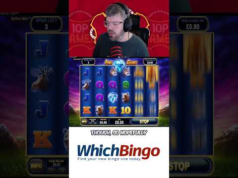 WhichBingo | Buffalo Blitz