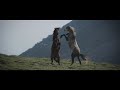 Karakoyun Yaylasında Özgür Atlar