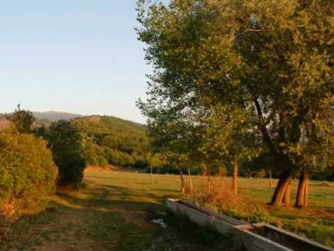 Niyaz Baba - Amasya - Gümüşhacıköy - Sallar Köyü - Özlem Taner - Hani Yaylam