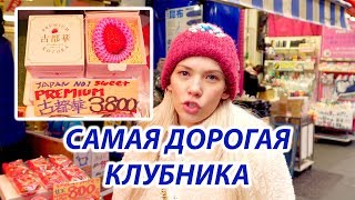 Самая дорогая клубника! | Прогулки по Токио | Жизнь в Японии Самая дорогая клубника! | Прогулки по Токио | Жизнь в Японии