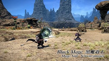 FINAL FANTASY XIV Job Actions