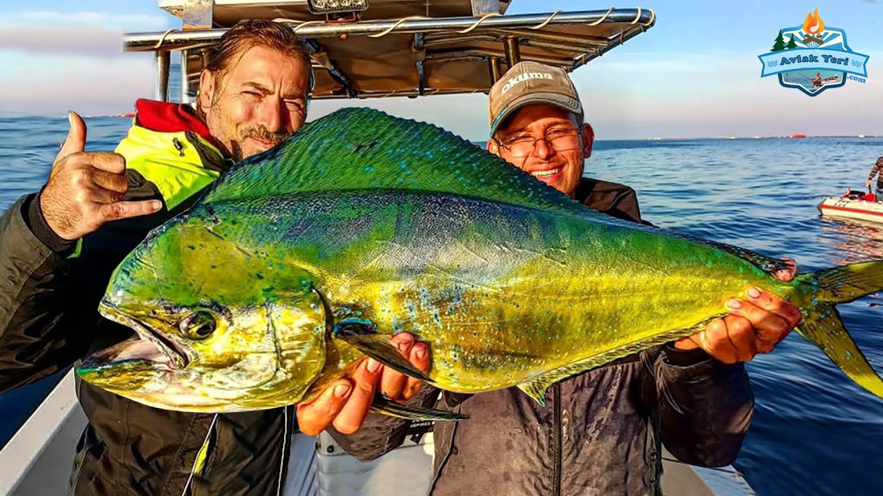 BODRUM'DA DEV BALIKLAR, DEV AKSİYONLAR!! (VLOG) Lambuka, Kofana ve Yakala- Pişir!