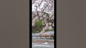 🎗القارئ : عبدالرحمن الشهري🎗​📖 سورة الأنبياء الآيات ۝ ١٦-١٨