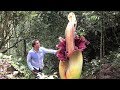 World's BIGGEST Flowers! (World's Most Spectacular Plants episode 3 of 14) | Stewart McPherson