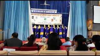 Bhangra performance /inter University culture program /Punjabi bhangra/ best performance