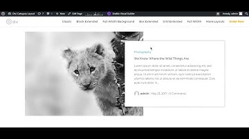 Box Extended – All Images on Left in  Divi Blog Extras
