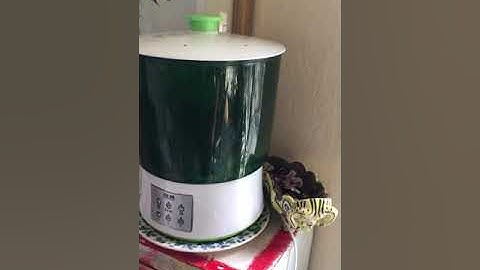 Sprout machine. Should you get one?