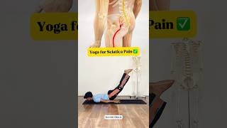 Yoga for Sciatica Pain ✅ | #yoga #yogateacher #healthylifestyle #onlineclasses #bengaluru #viral