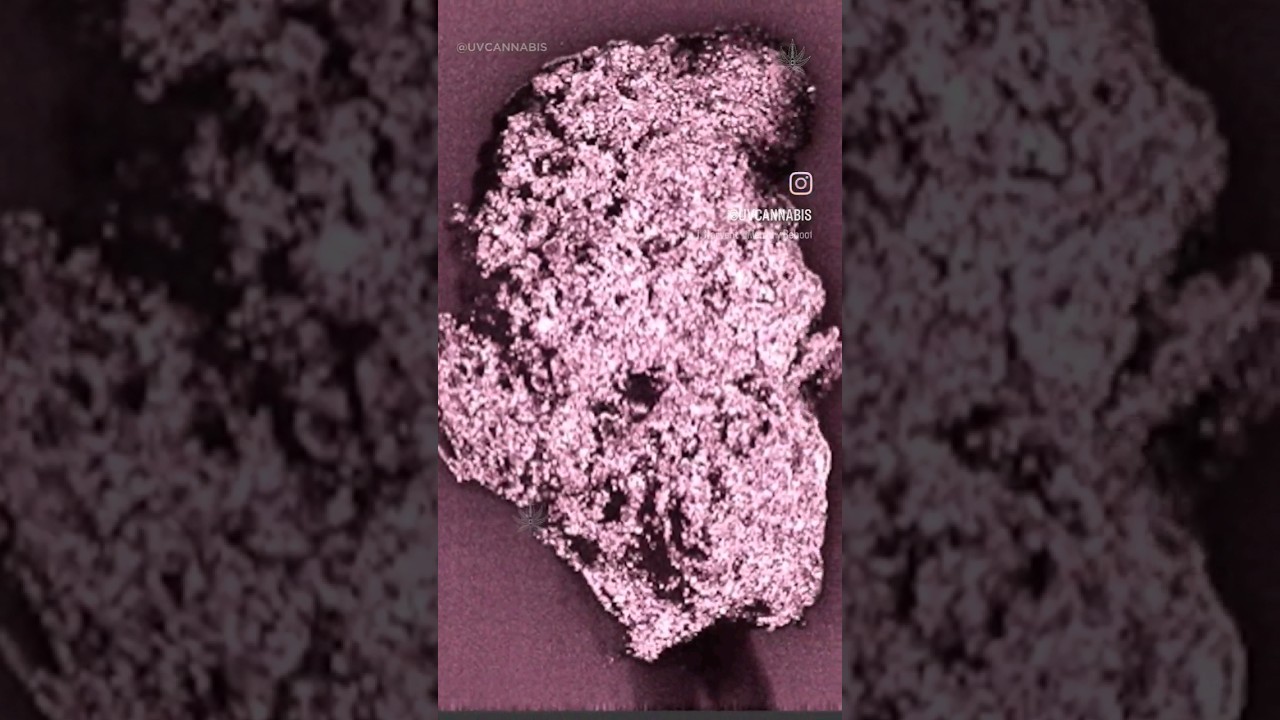 Focus stacking process: Jet fuel 