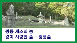 광릉_세조와 정희왕후의 능