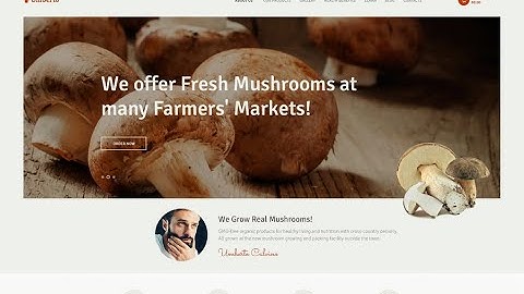 7 Best Farm & Agriculture WordPress Themes 2021
