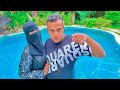 هربت انا و مراتى من عمر شاور نقضى شهر العسل فى الفيلا الجديده هربت انا و مراتى من عمر شاور نقضى شهر العسل فى الفيلا الجديده