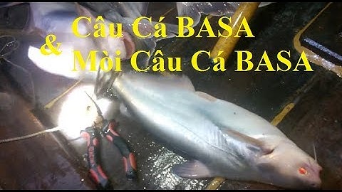 ĐI CÂU CÁ BASA SÔNG | HUYNH KHOA FISHING