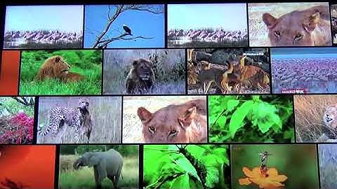 Test Upload via Java on Fri Mar 08 14:14:58 ICT 2019