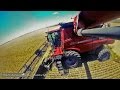 [GoPro] BIG WHEAT HARVEST IN AUSTRALIA ► 2 CASE AXIAL FLOW & MAGNUM with GRAIN KING