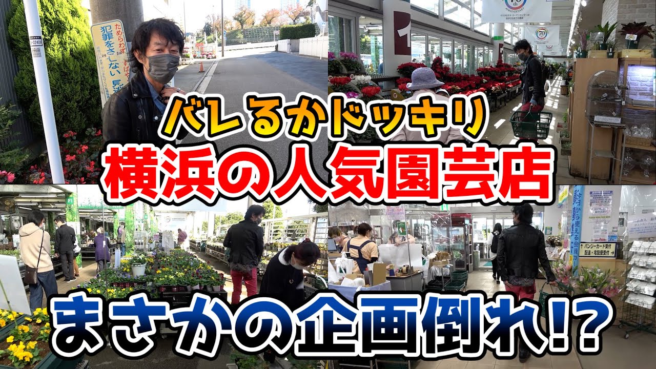 バレるか検証 気付かれなくて初の企画失敗 ガーデンセンター横浜 サカタのタネ カーメン君 園芸 ガーデニング 初心者 Youtube