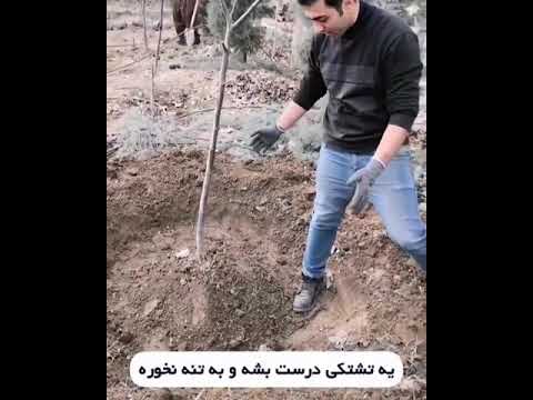 تصویری: VVST: رمزگشایی مخفف نظامی و فنی