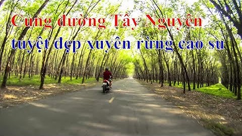 Cung đường Tây Nguyên tuyệt đẹp xuyên rừng cao su  ❤ Việt Nam Channel ❤