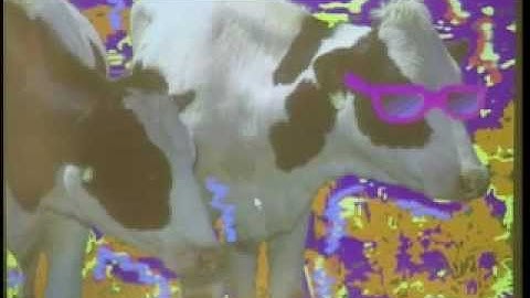 The Computer Chronicles: Pentium PCs