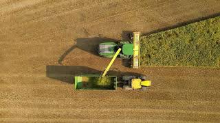 Harvest 2023 begins at Apsley Farms