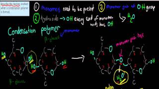 2. Steps of condesnation polymerisation (HSC chemistry)