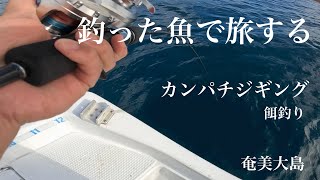 奄美大島のYoutuber船長のボートでスロージギングと餌釣りです！釣った魚を食べて旅が出来るのか挑戦中！ ジギング　餌釣り　釣り