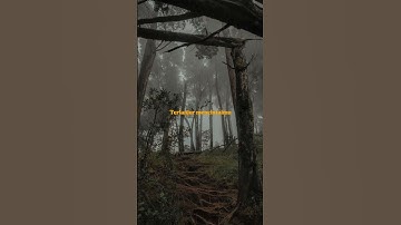 Thumbnail of Sial - Mahalini (Lirik Musik) #mahalini #sial #lyrics #music