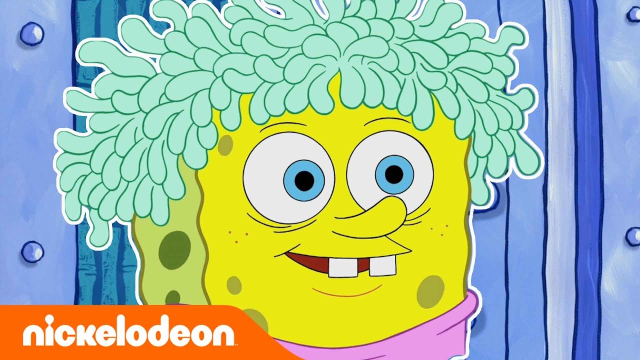 ⁣SpongeBob | Nickelodeon Arabia | سبونج بوب | السيدة القطة