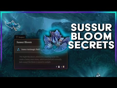 Sussur Bloom Secrets! | Baldur's Gate 3