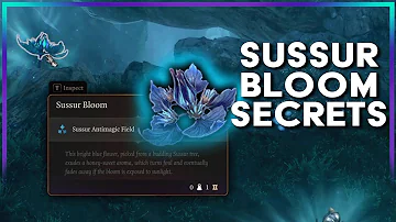 Sussur Bloom Secrets! | Baldur's Gate 3